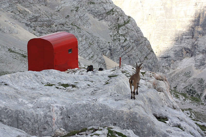 Nel gruppo del Sorapss (Dolomiti)